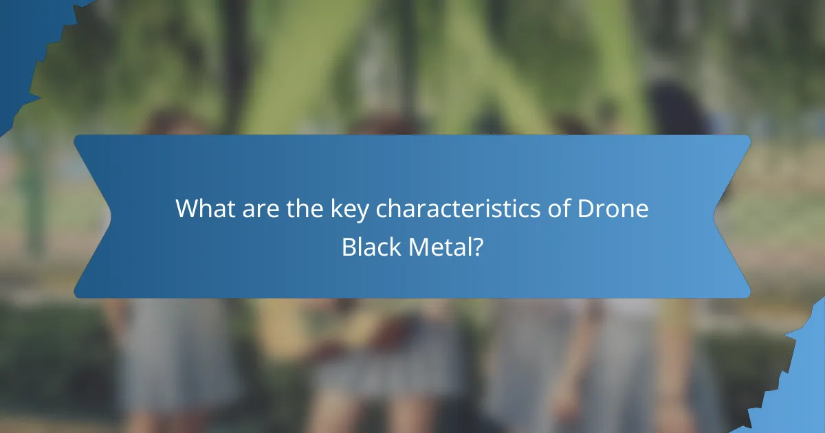 What are the key characteristics of Drone Black Metal?